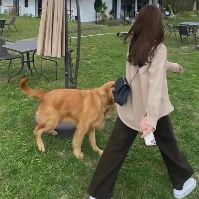 童话镇第一季
